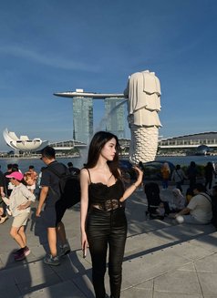 Baby Anh - Transsexual escort in Manila Photo 23 of 24