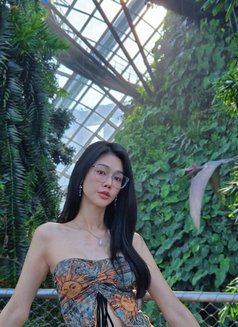 Baby SINGAPORE - escort in Singapore Photo 12 of 20