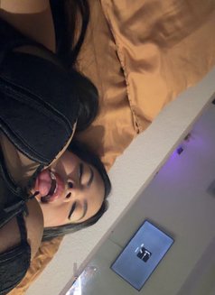 Baby BBW in Phuket - escort in Phuket Photo 21 of 21