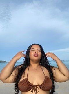 Baby BBW - escort in Phuket Photo 14 of 14