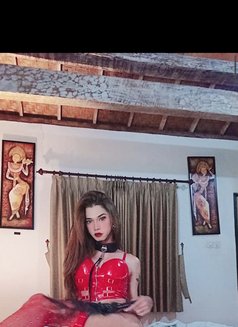 BabyCaca Ts Top - Acompañantes transexual in Bali Photo 25 of 28