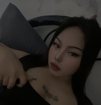 Baby Carms - Acompañantes transexual in Manila