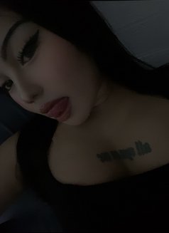 Baby Carms - Acompañantes transexual in Manila Photo 3 of 4