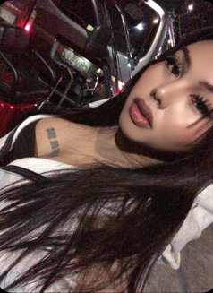 Baby Carms - Acompañantes transexual in Manila Photo 5 of 5