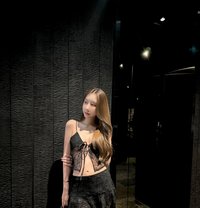Baby Cat 宝贝 - escort in Taipei