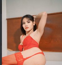 Baby Def - Acompañantes transexual in Kuala Lumpur