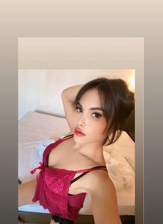 Baby Def - Transsexual escort in Kuala Lumpur Photo 7 of 17