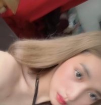 Vietnamese Girl in Town - Transsexual escort in Manila Photo 1 of 11