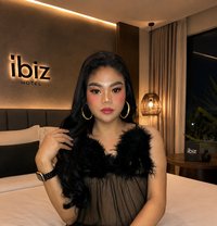 MONSTER COCK - AMIRAH - Transsexual escort in Al Sohar