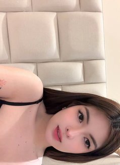 Baby girl Pam - Acompañantes transexual in Riyadh Photo 1 of 17