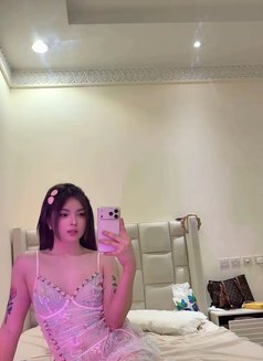Baby girl Pam - Acompañantes transexual in Riyadh Photo 15 of 17