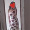 Baby - escort in Noida Photo 4 of 5
