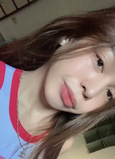 baby girl Kim legit Cam/Meet - escort in Manila Photo 19 of 20