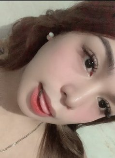baby girl Kim legit Cam/Meet - escort in Manila Photo 20 of 20