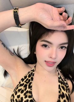 Baby girl Pam - Acompañantes transexual in Riyadh Photo 15 of 18