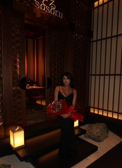 BabyGirl Sofie NEW HERE - escort in Hong Kong Photo 5 of 16