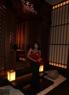 BabyGirl Sofie NEW HERE - escort in Hong Kong Photo 6 of 16