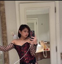 Baby Girl Sofie - Transsexual escort agency in Riyadh