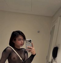 Baby Girl Sofie - Transsexual escort agency in Riyadh