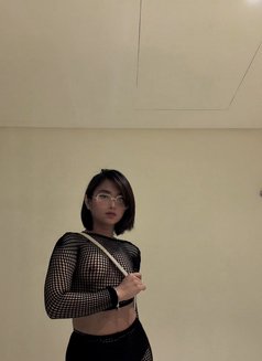 Baby Girl Sofie - Transsexual escort agency in Riyadh Photo 10 of 16