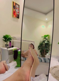 Baby Girl Sofie - Transsexual escort agency in Riyadh Photo 26 of 26