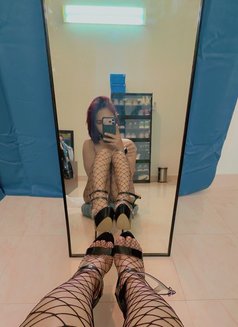 Baby Girl Sofie - Transsexual escort agency in Riyadh Photo 13 of 17