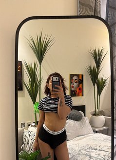 Baby Girl Sofie - Transsexual escort agency in Riyadh Photo 14 of 17