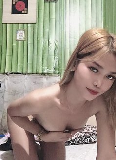 Baby Nicole - Transsexual escort in Manila Photo 2 of 8