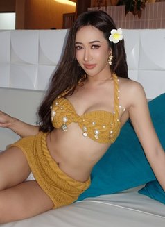 Baby ' Xobamm - Transsexual escort in Hong Kong Photo 1 of 12