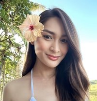 Baby Steph - Transsexual escort in Singapore