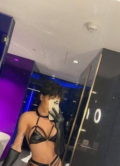 BABY TOP - Transsexual escort in Dubai Photo 8 of 14