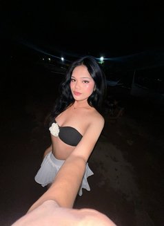Baby Trisha - Transsexual escort in Manila Photo 2 of 6