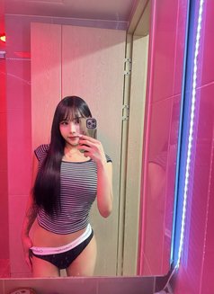 Babycandy pyeongtaek songtan station - Transsexual escort in Seoul Photo 8 of 8