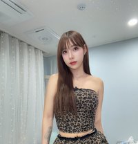 Babycandy - Transsexual escort in Seoul