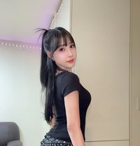 Babycandy - Transsexual escort in Seoul