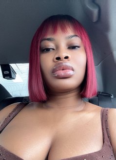 Babycee - escort in Dubai Photo 2 of 3
