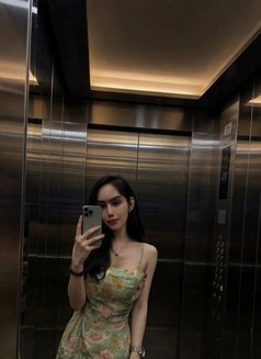 BabyGirl_Alice 🇵🇭🏳️⚧️ - Acompañantes transexual in Dubai Photo 8 of 12