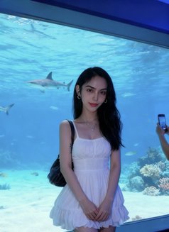 BabyGirl_Alice 🇵🇭🏳️‍⚧️ - Acompañantes transexual in Dubai Photo 16 of 16