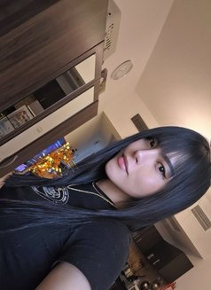 Babygirl Angel - Transsexual escort in Dubai Photo 1 of 6