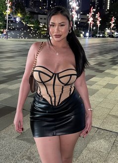 Babygirl 🦋 - puta in Bangkok Photo 14 of 15