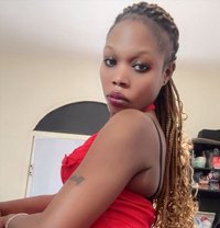 Babygyal - escort agency in Dammam