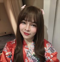 BabyLucky - Transsexual escort in Al Manama