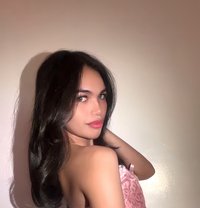 Babymallows - Transsexual escort in Taichung