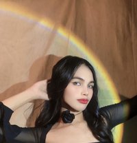 Babymallows - Transsexual escort in Taichung