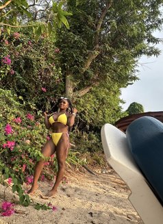 Babyptt123 - puta in Pattaya Photo 1 of 3