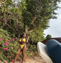 Babyptt123 - escort in Pattaya