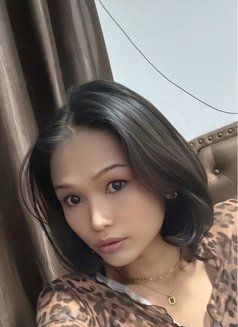 Babyxgirl/bkk - Transsexual escort in Bangkok Photo 6 of 7