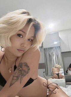 Babyxgirl/bkk - Transsexual escort in Bangkok Photo 6 of 7