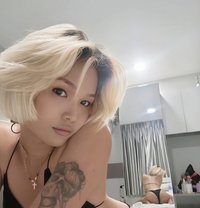 Babyxgirl/bkk - Transsexual escort in Bangkok