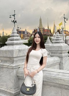Baifern - escort in Bangkok Photo 7 of 12